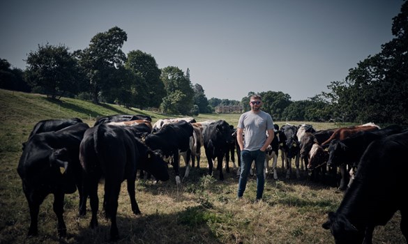 Farmer, Ollie Blackburn, stood among his herd in a field.